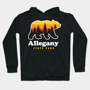 Allegany State Park New York Salaca Ny Hoodie